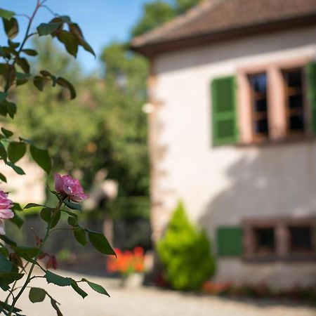 Gite **** Le Meyerhof Rorschwihr Buitenkant foto