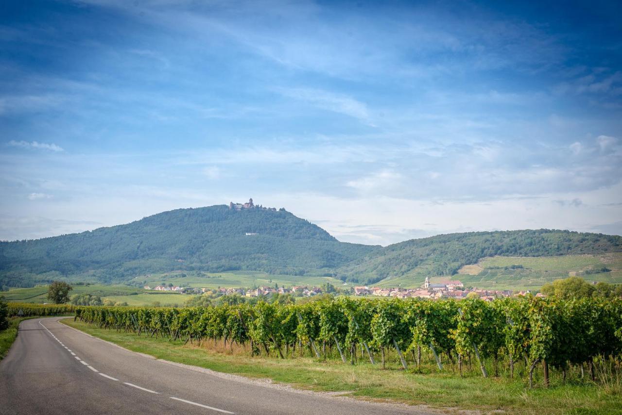 Gite **** Le Meyerhof Rorschwihr Buitenkant foto